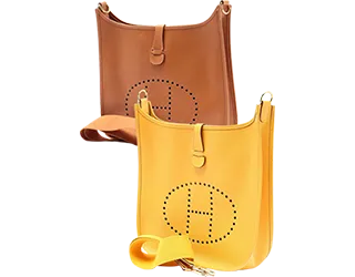 Hermès Evelyne